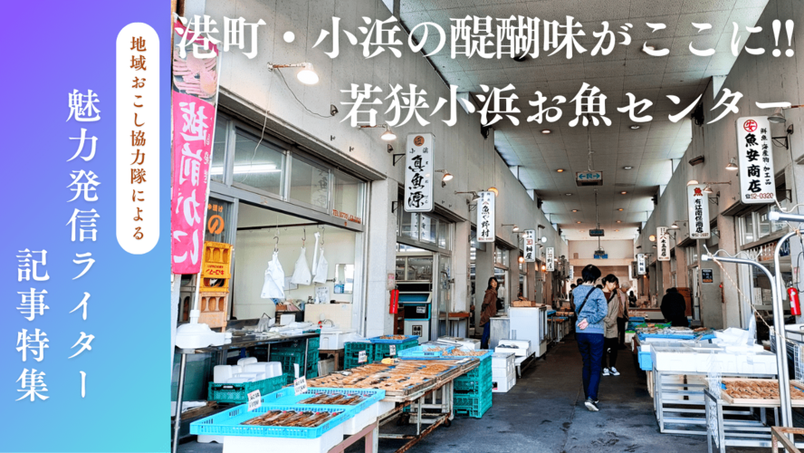魅力発信記事ライター(お魚センター)
