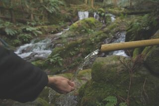 自然の恵みに触れる特別な水汲み体験~若狭町 瓜割の滝~【アウトドアアクティビティ担当】