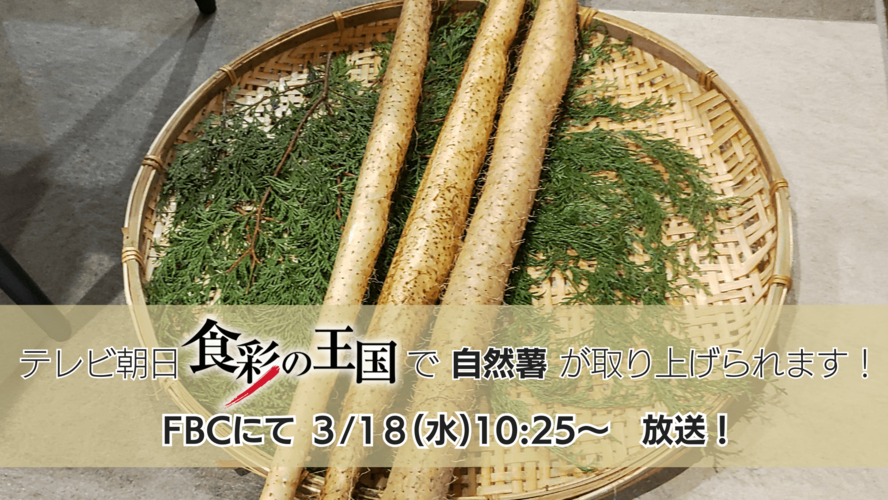 食彩の王国で自然薯が取り上げられます