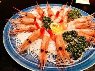 若狭町 海辺の宿でワーケーションのすすめ~昭和館mukuri宿泊体験記~