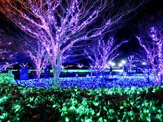 【魅力発信ライター特集記事】福井県敦賀市ミライエ 2025と新スタイル敦賀ラーメン