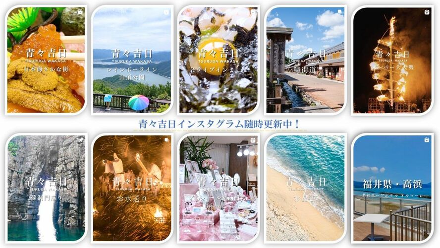 青々吉日インスタグラム