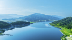 野鳥観察クルーズ