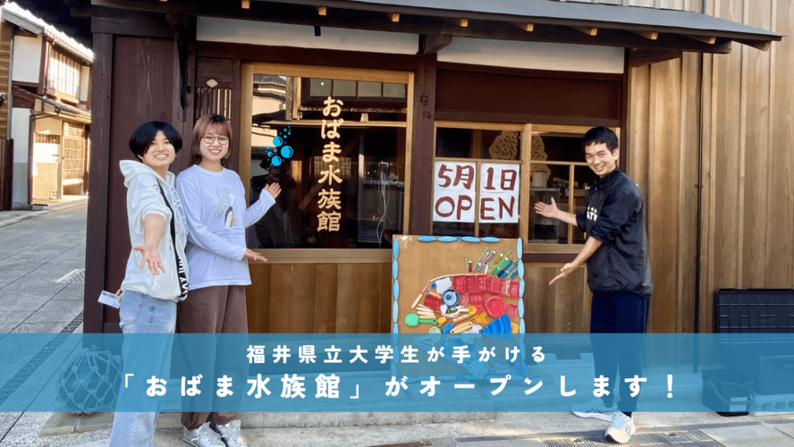 福井県立大学の学生が手がける「おばま水族館」がオープンします!