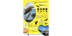 湖上バードウォッチング!遊覧船でいく!野鳥観察クルーズ